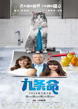 av中文字幕av